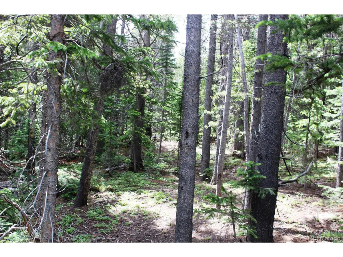 209 Upper Forest Rd, Idaho Springs, CO 80452 - Image #1