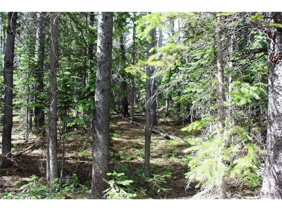 209 Upper Forest Rd, Idaho Springs, CO 80452 - Image #3