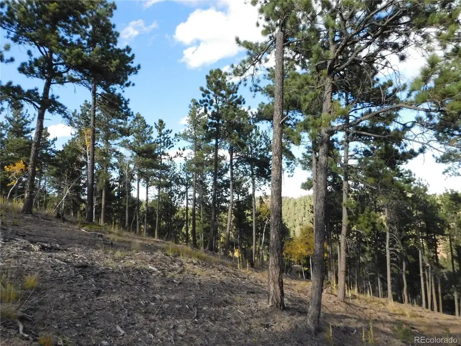 13910 Boulder Ln, Larkspur, CO 80118 - #3