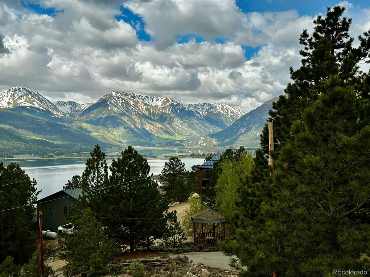 9 Mount Hope Dr, Twin Lakes, CO 81251 - #1