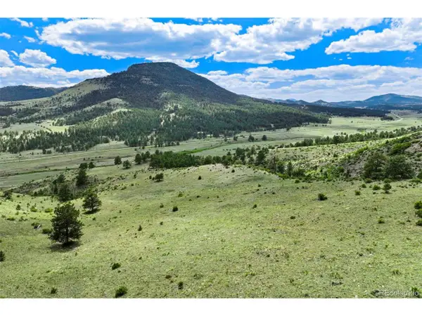 6 County Road 102, Guffey, CO 80820