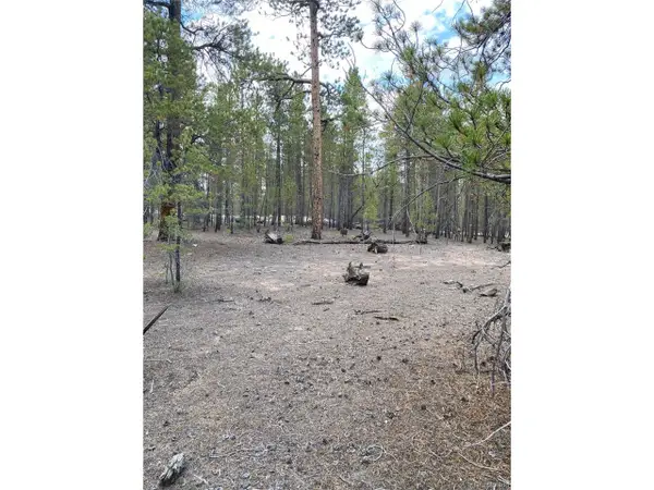 340 Peak View Dr, Twin Lakes, CO 80461