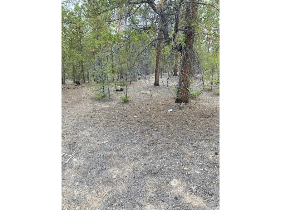 340 Peak View Dr, Twin Lakes, CO 80461 - Image #3