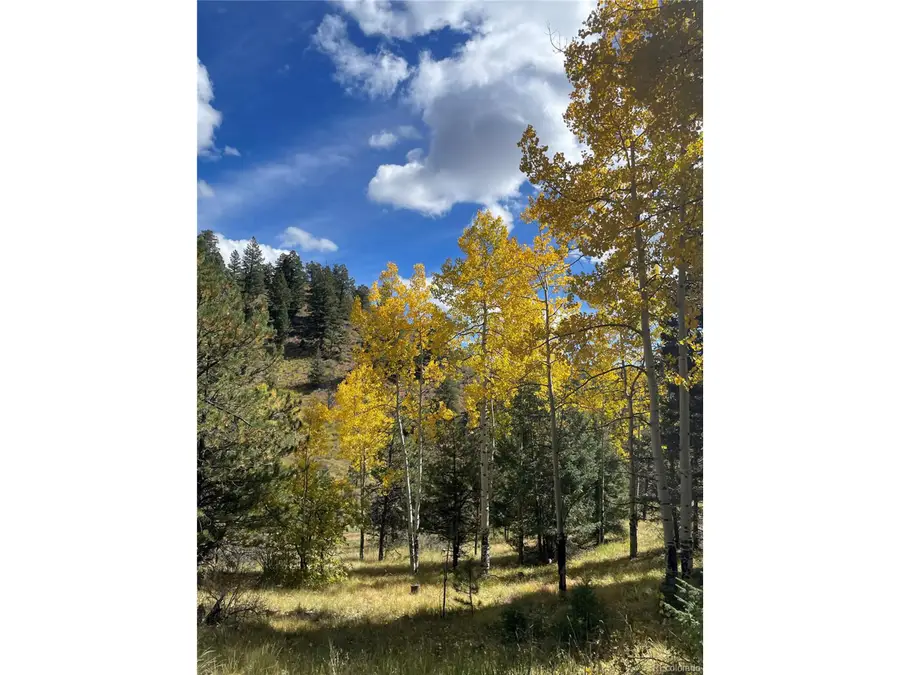 Address Withheld By Seller, Woodland Park, CO 80863 - Image #2