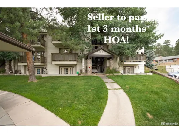 29656 Buffalo Park Rd #209, Evergreen, CO 80439