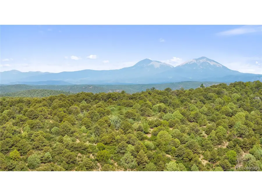 Tollerburg Rd, Trinidad, CO 81082 - Image #3