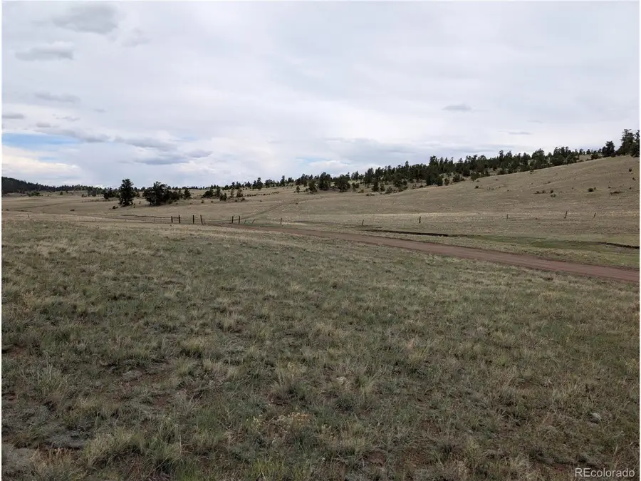 246 Hopi Trl, Hartsel, CO 80449 - Image #3