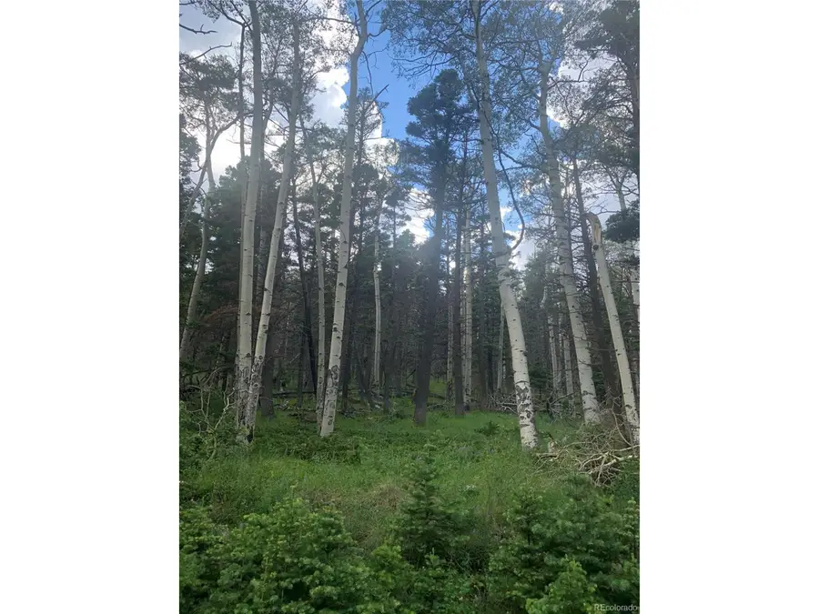 2956 Kemper Loop, Fort Garland, CO 81133 - #2