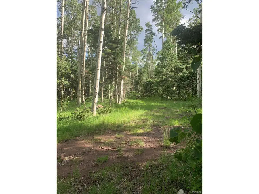 2956 Kemper Loop, Fort Garland, CO 81133 - #3