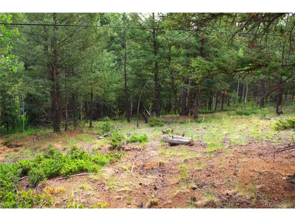 123 Ellis Lake Cir, Divide, CO 80814