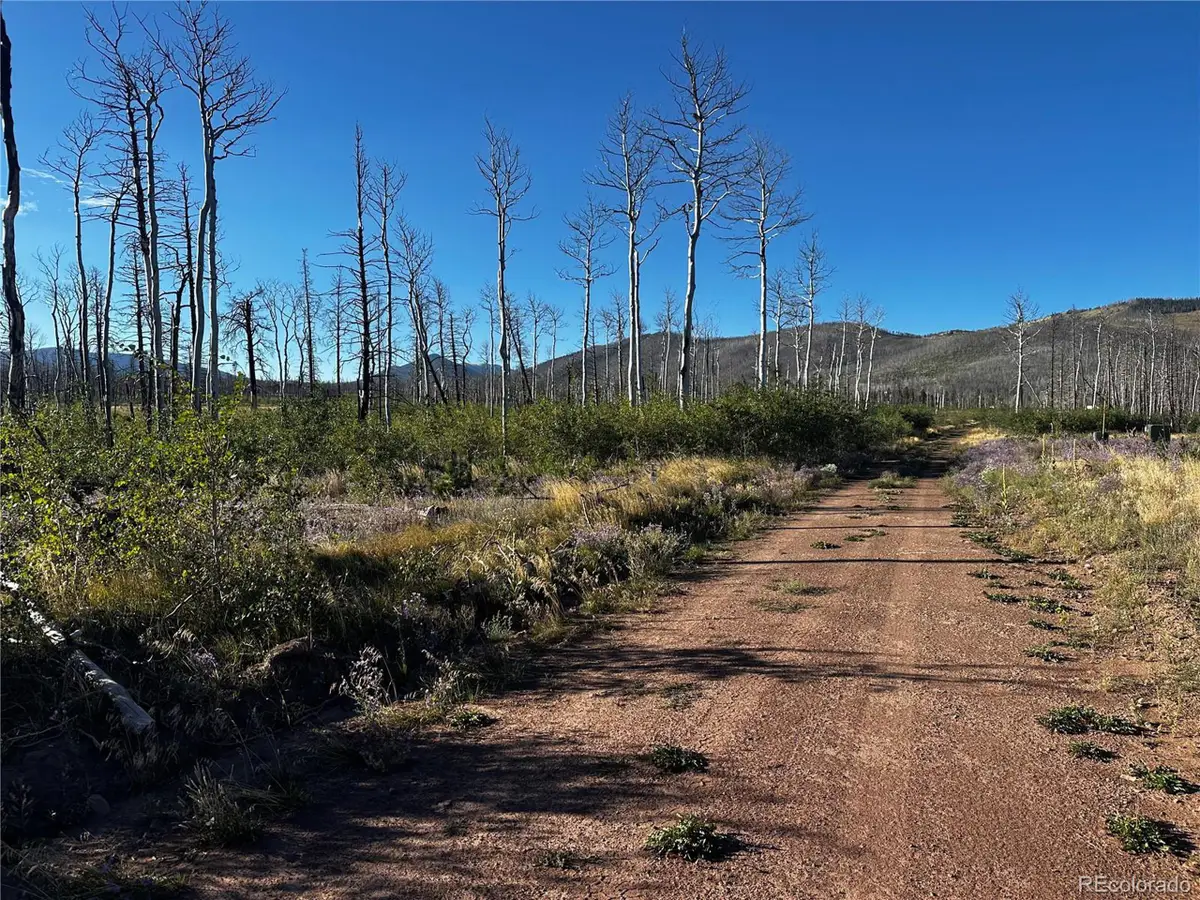 1310 Claytor Ln, Fort Garland, CO 81133 - #1