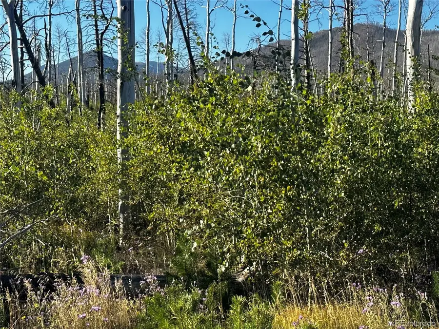 1310 Claytor Ln, Fort Garland, CO 81133 - #2