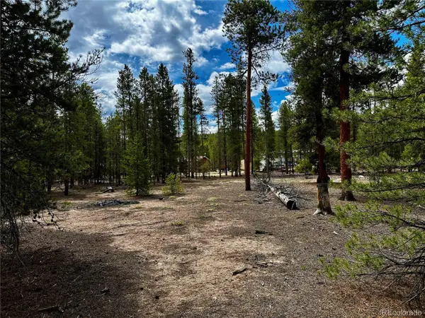 644 Birch Dr, Twin Lakes, CO 80461