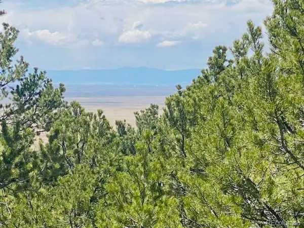 65 Mill Run, Alamosa, CO 81101