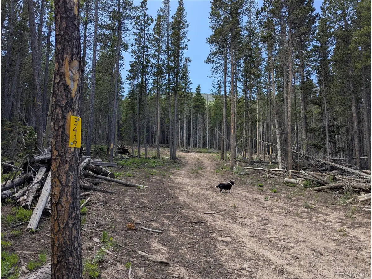 3419 Grojean Dr, Fort Garland, CO 81133 - #1