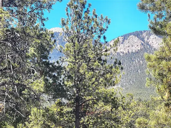 116 Neal St, Bailey, CO 80421