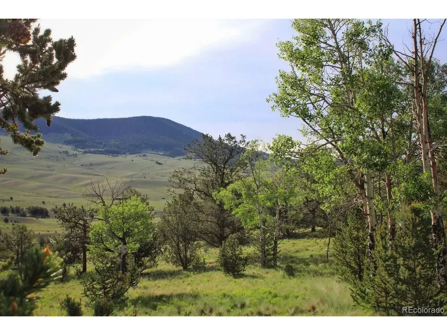 Highway 9, Guffey, CO 80820 - #3