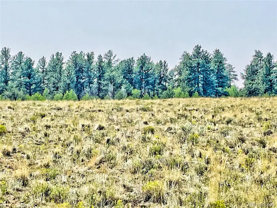 887 Superstition Trl, Hartsel, CO 80449 - Image #3