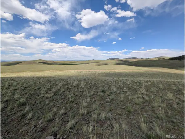 Wicaka Trl, Hartsel, CO 80449