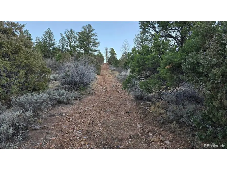 5106 Redler Rd, Fort Garland, CO 81133 - Image #3