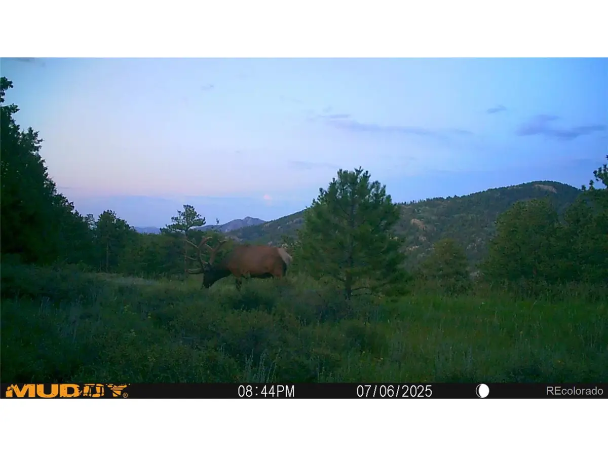 591599 Soul Shine Rd, Drake, CO 80515 - #1