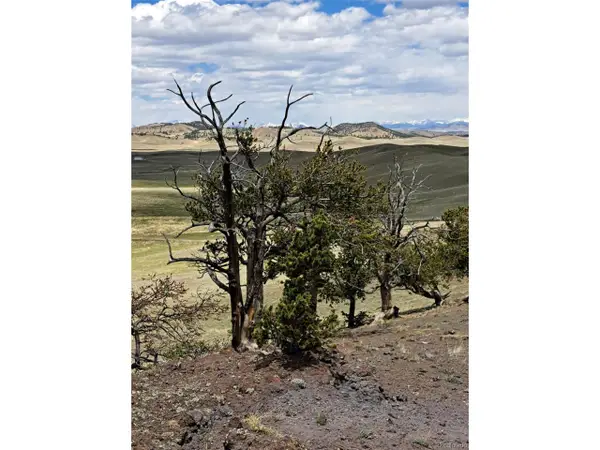 5250 Uxta Trl, Hartsel, CO 80449