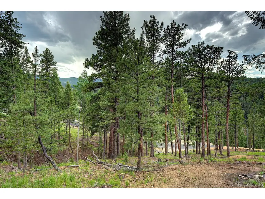 6874 Lynx Lair Rd, Evergreen, CO 80439 - Image #2