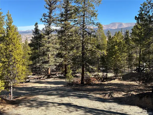 48 Lodgepole Dr, Leadville, CO 80461