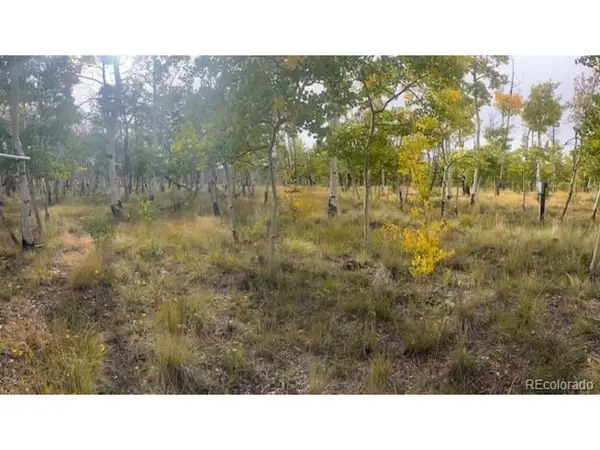 386 Hereford Dr, Hartsel, CO 80449