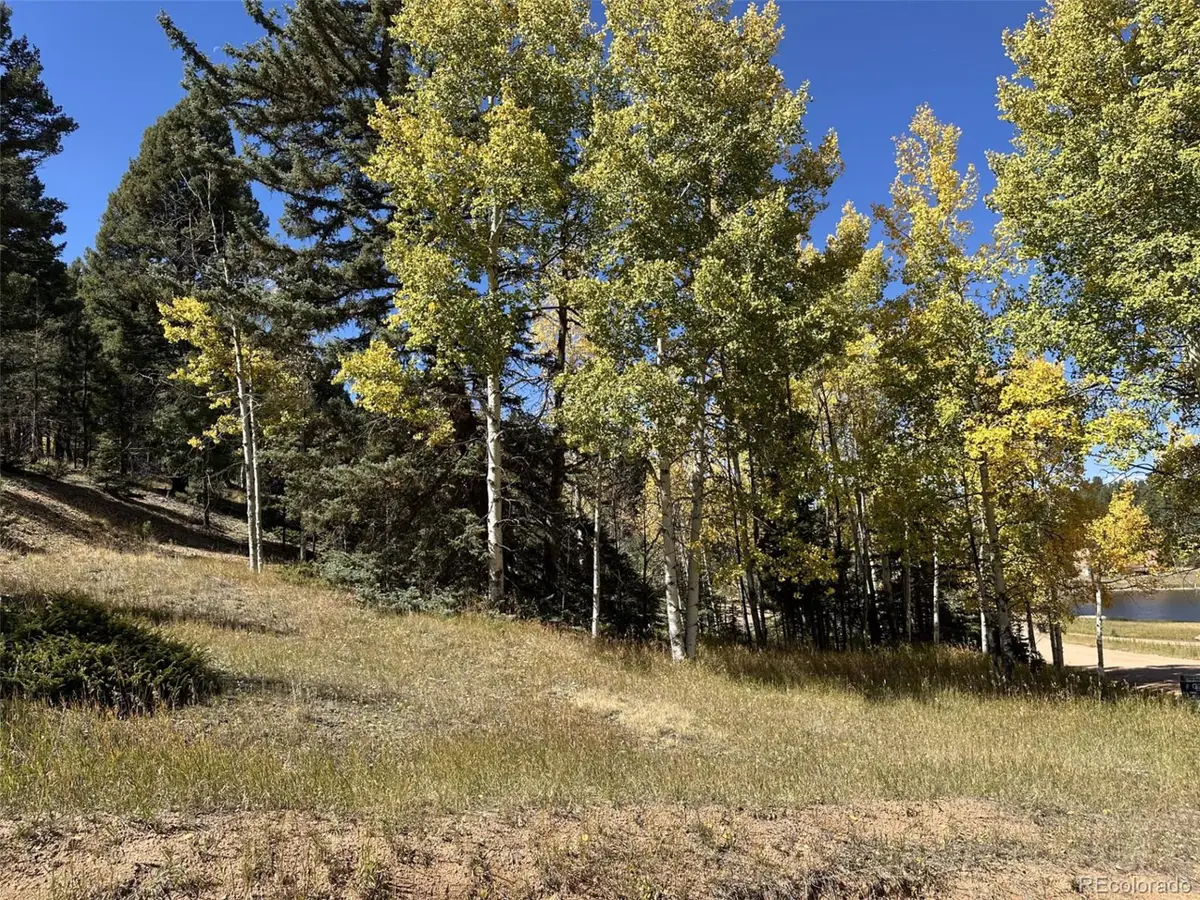 244 Spring Valley Ln, Florissant, CO 80816 - Image #1