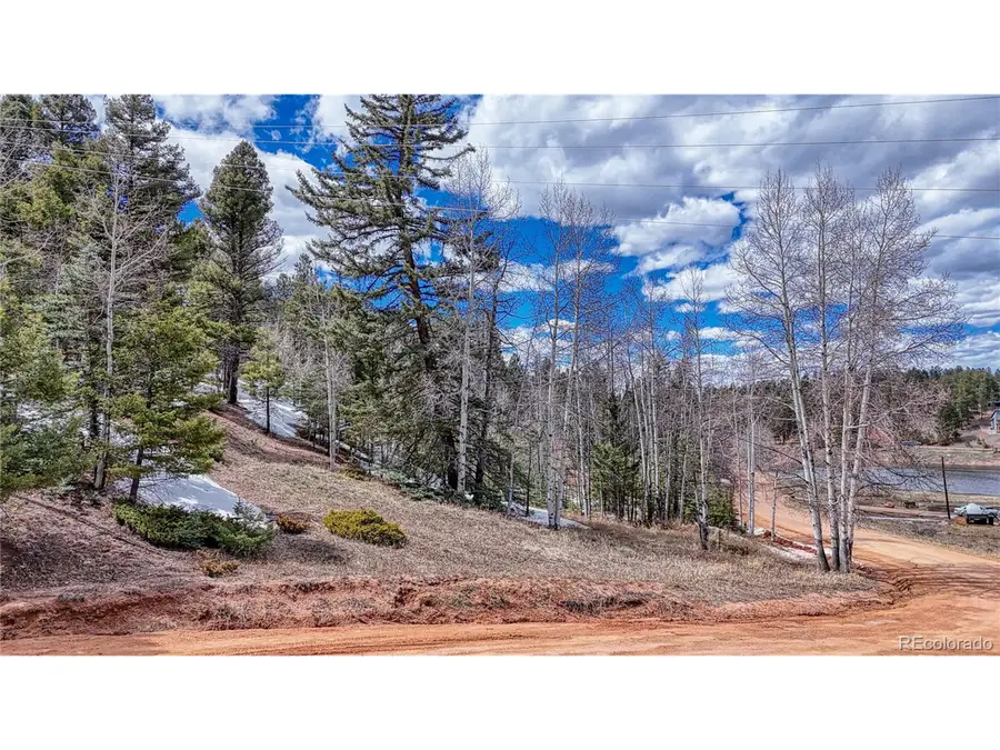 244 Spring Valley Ln, Florissant, CO 80816 - Image #3