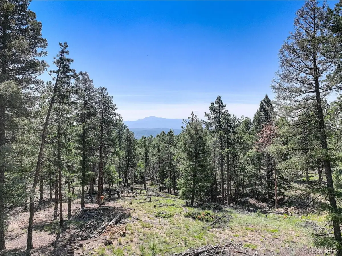 1002 Indian Creek Rd, Florissant, CO 80816 - #1