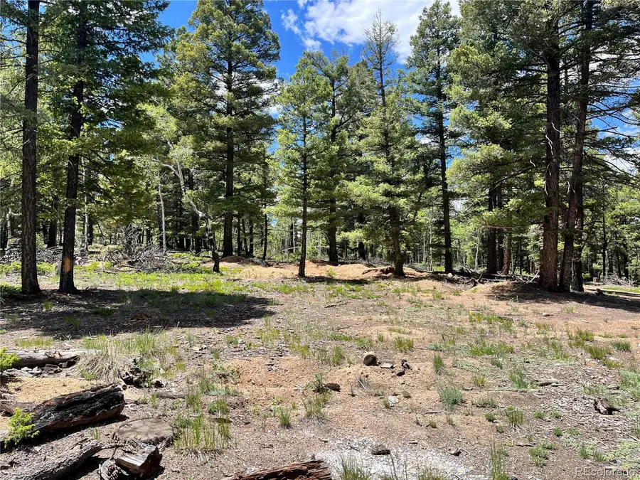 1002 Indian Creek Rd, Florissant, CO 80816 - #2