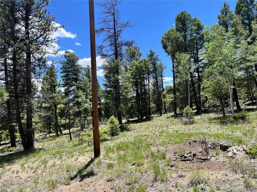 1002 Indian Creek Rd, Florissant, CO 80816 - #3
