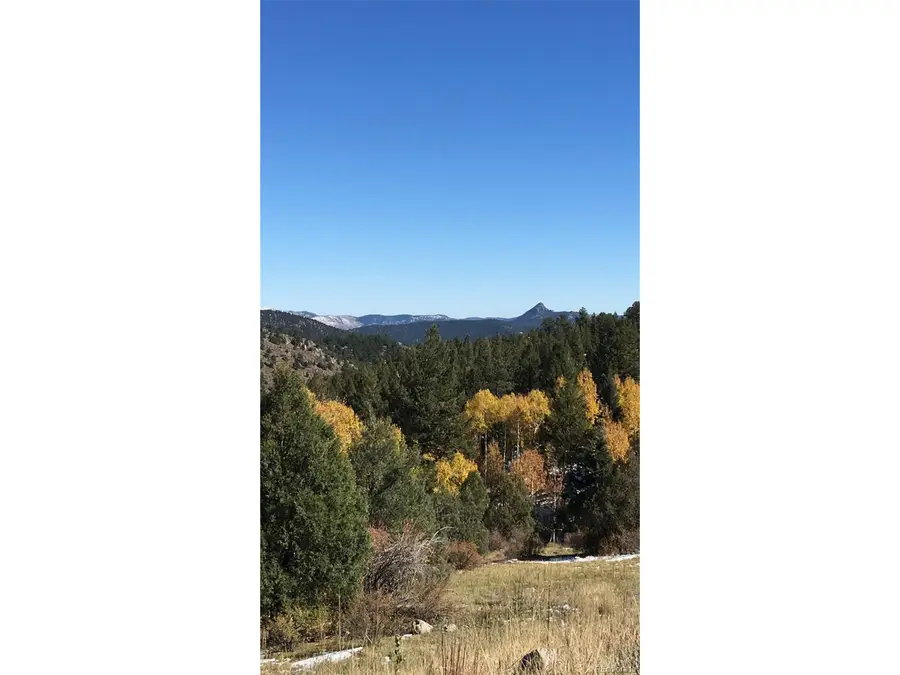 14745 Wetterhorn Peak Trl, Pine, CO 80470 - Image #3