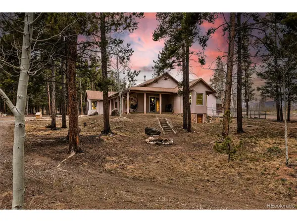 757 Thompson Park Rd, Fairplay, CO 80440