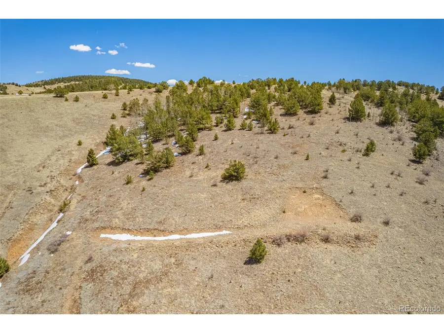 1538 County Road 1, Cripple Creek, CO 80813 - #3