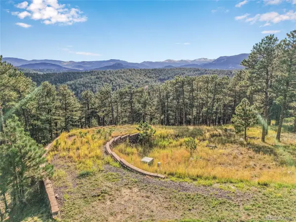 2317 Wieler Rd, Evergreen, CO 80439
