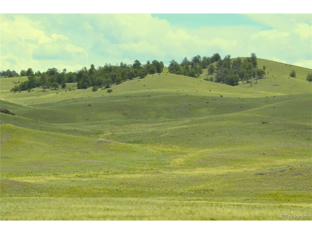 Address Withheld By Seller, Hartsel, CO 80449 - Image #1