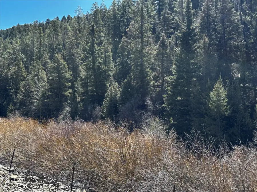 223 Hwy 160, Fort Garland, CO 81133 - #3