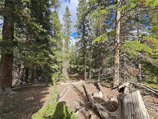 617 Gold Trail Cir, Fairplay, CO 80440