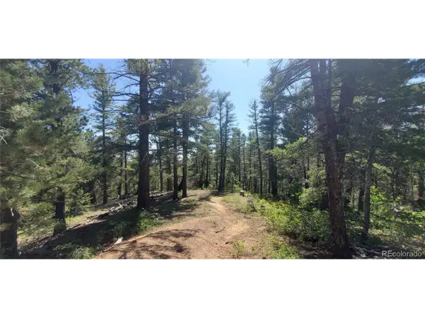 Address Withheld By Seller, Fort Garland, CO 81133