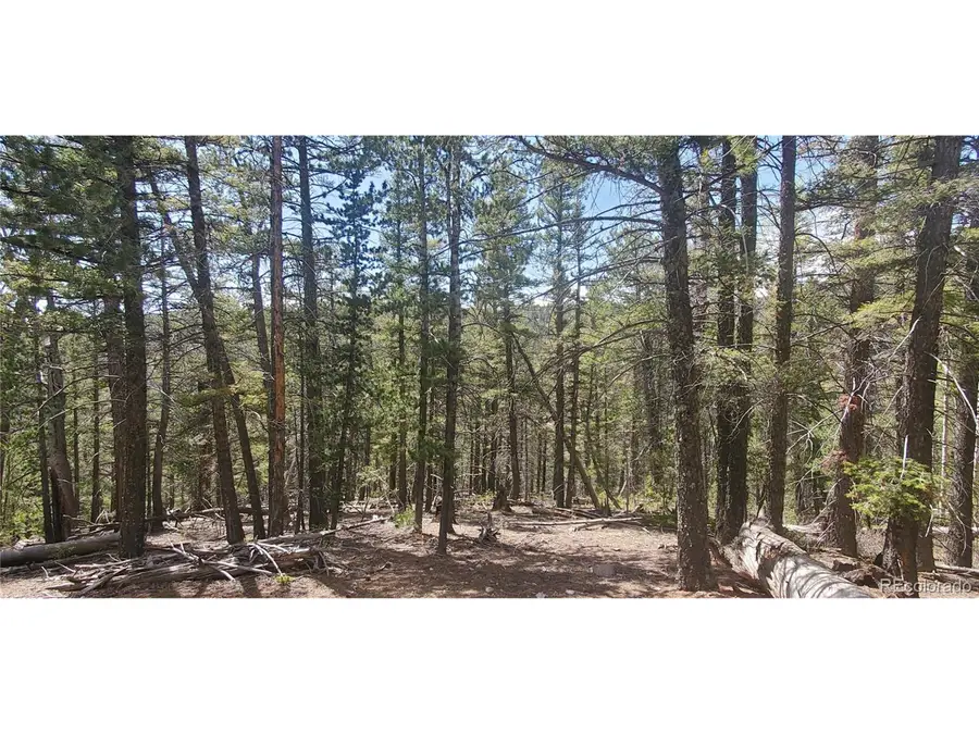 Address Withheld By Seller, Fort Garland, CO 81133 - Image #2