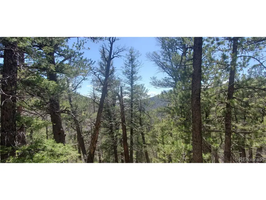 Address Withheld By Seller, Fort Garland, CO 81133 - Image #3