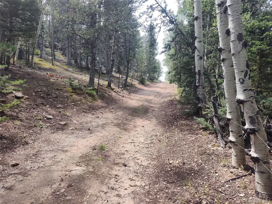 3154 Cr 863, Victor, CO 80860 - Image #3