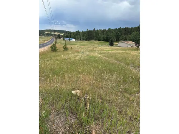 17 Deer Ridge Trl, Florissant, CO 80816