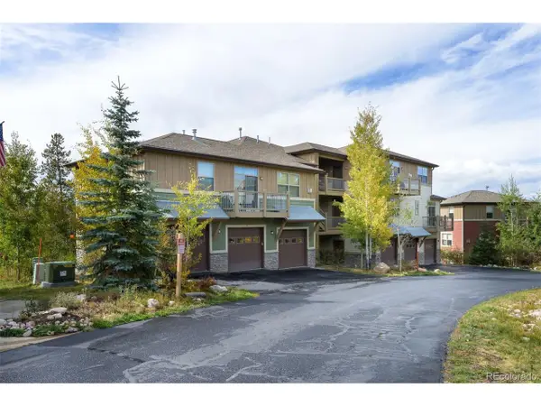 420 Cougar Ave #1, Fraser, CO 80442