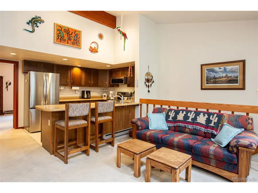 324 W Main St, Frisco, CO 80443 - Image #2