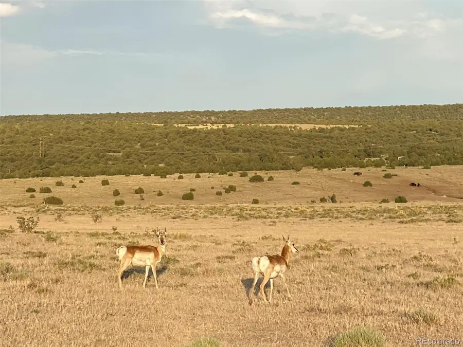 Cty Rd 351, Walsenburg, CO 81089 - Image #3