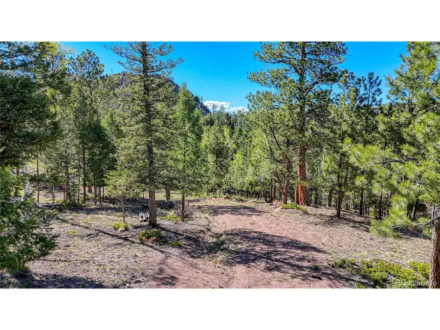 56 Fir Ln, Florissant, CO 80816 - #3
